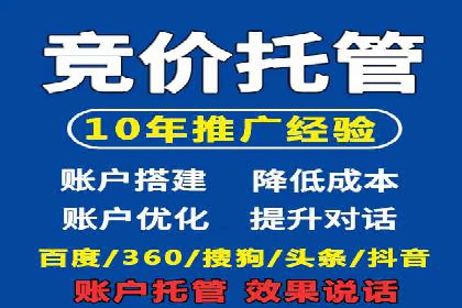 行业领先企业的SEM竞价代运营案例解析